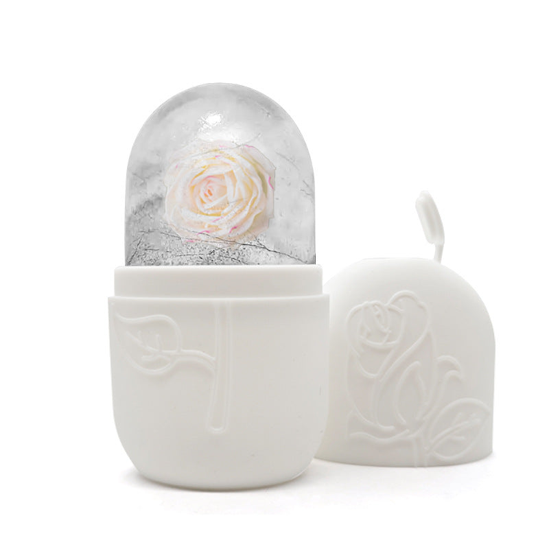 Facial Ice Tray Massager