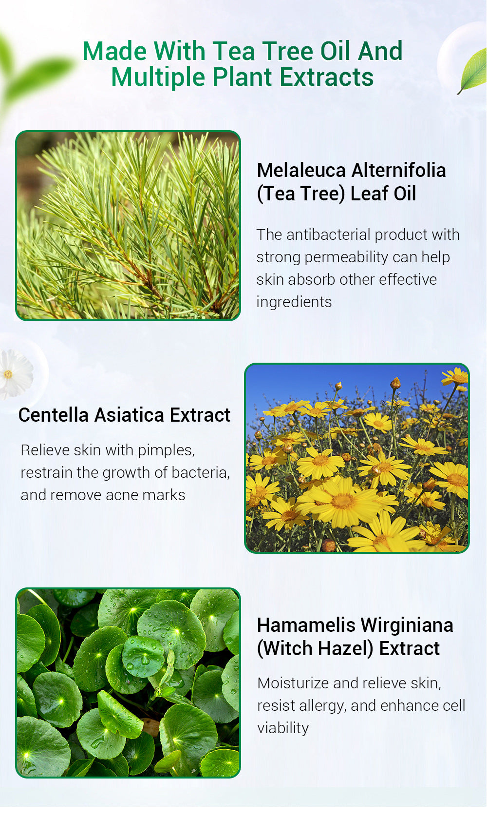 BREYLEE Tea Tree Acne Cream
