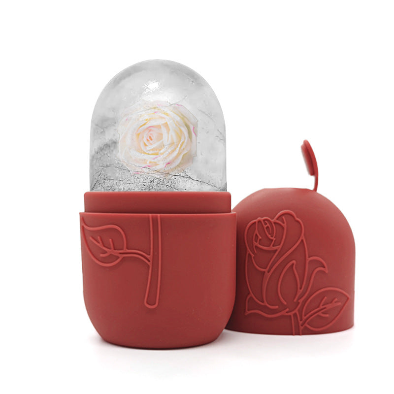 Facial Ice Tray Massager