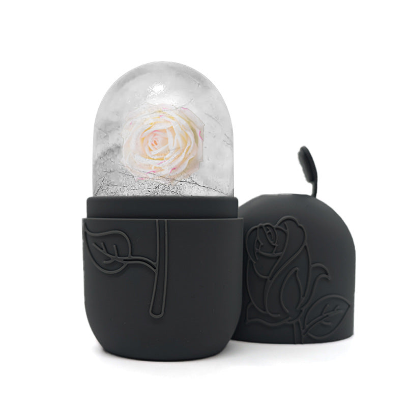 Facial Ice Tray Massager