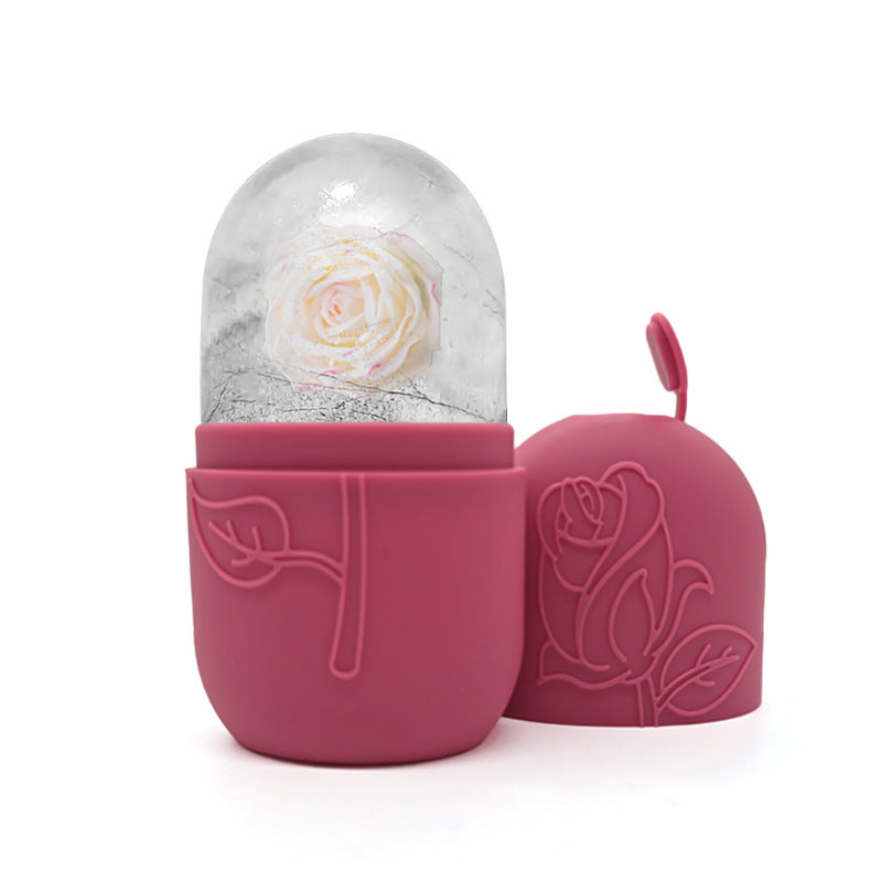 Facial Ice Tray Massager